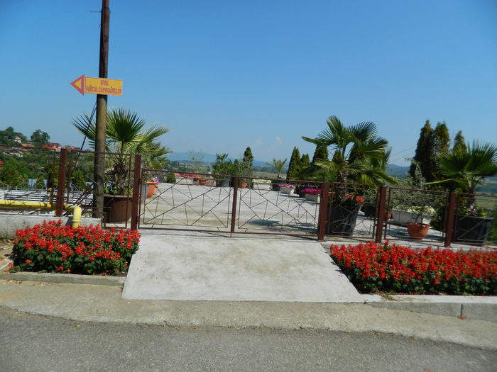 DSCN5832 - 2015_GRADINA BOTANICA JIBOU