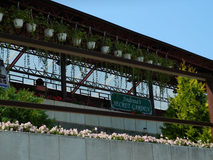 DSCN5834 - 2015_GRADINA BOTANICA JIBOU