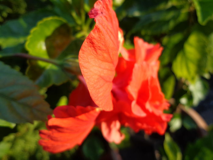DSC09691