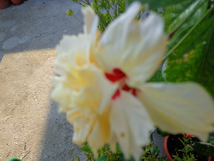 DSC09605