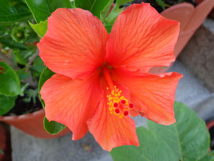 DSC09607