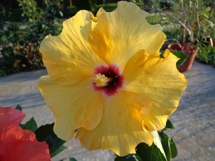 DSC09703