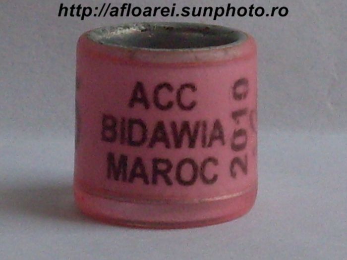 acc bidawia maroc 2010