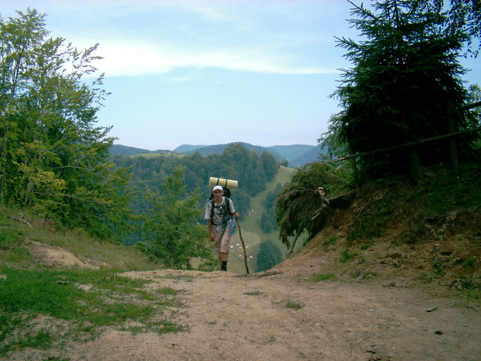 07310001 - Piatra Craiului - Creasta sudica