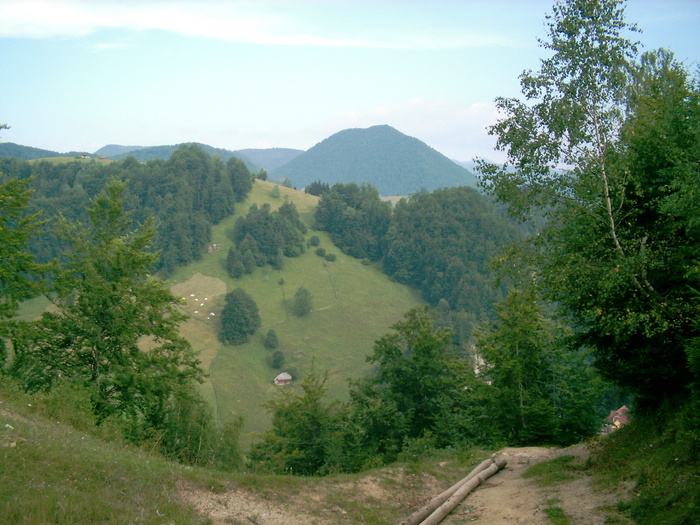 07310003 - Piatra Craiului - Creasta sudica