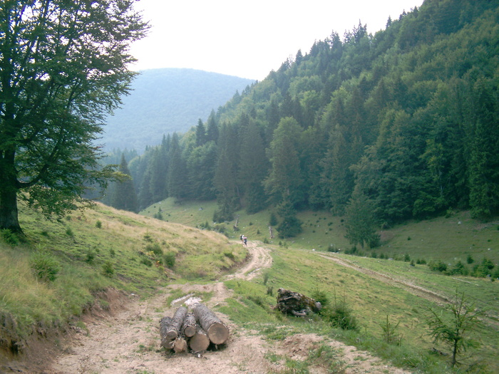 07310009 - Piatra Craiului - Creasta sudica