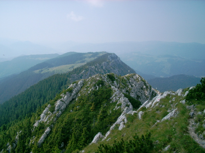 08020009 - Piatra Craiului - Creasta sudica