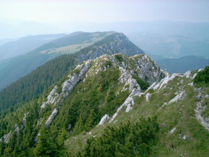 08020012 - Piatra Craiului - Creasta sudica