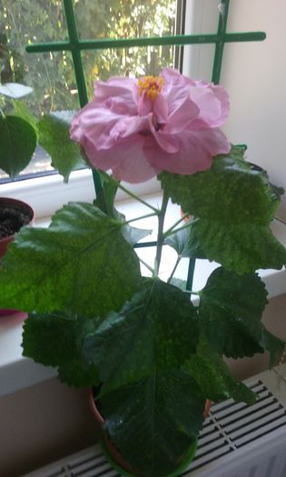 20150829_103032