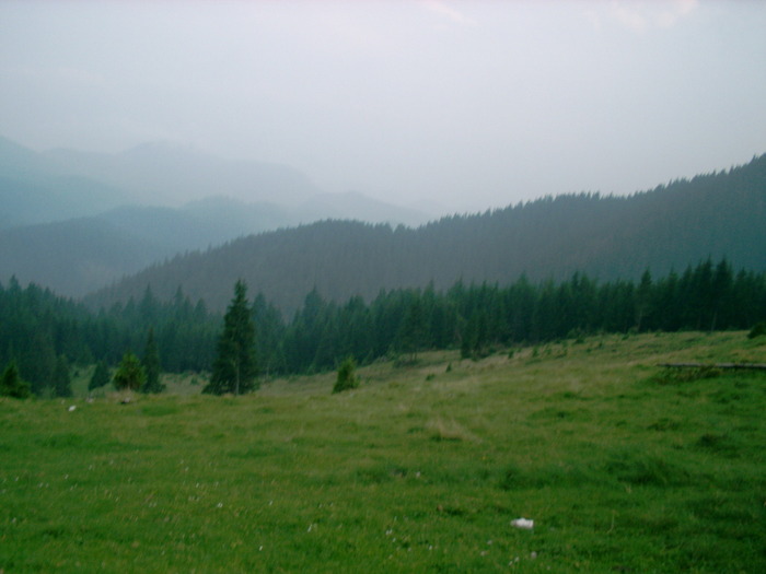 08020027 - Piatra Craiului - Creasta sudica