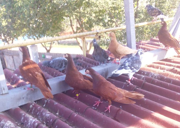 IMG_20150829_095124-1