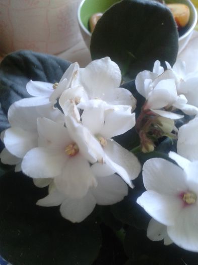 20150829_125417