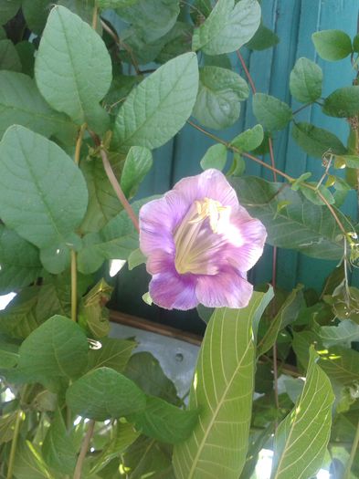 20150816_104800