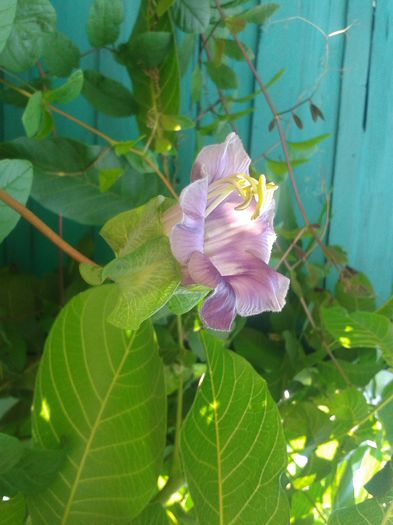 20150816_104806