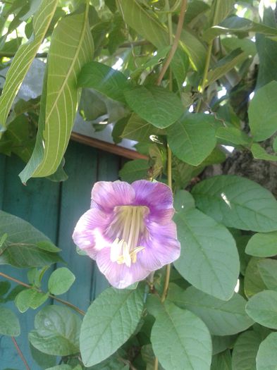 20150816_104828