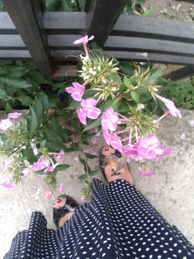 20150820_145749