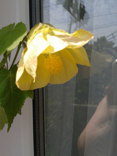 20150822_114052