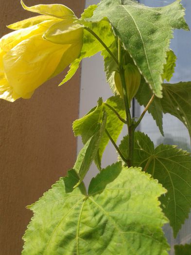 20150822_114112