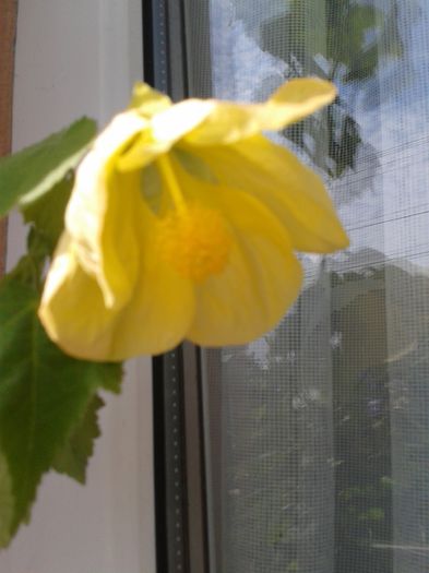 20150822_114124