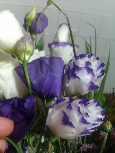 IMAG0059 - Flori si altele de la un eveniment fericit