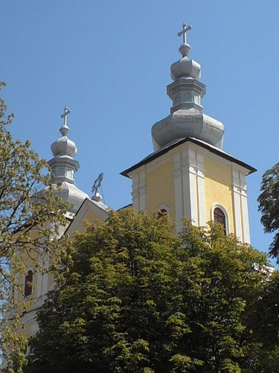 P8250100