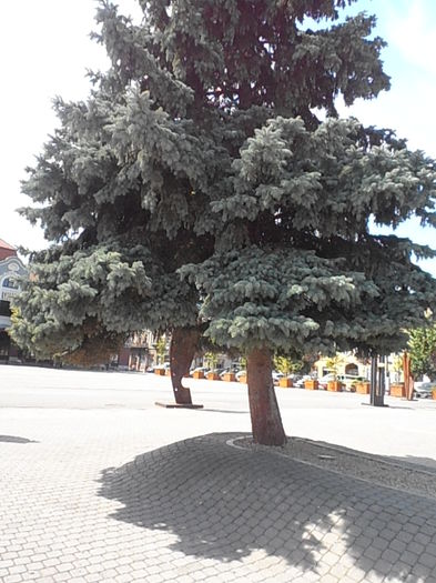 P8250168