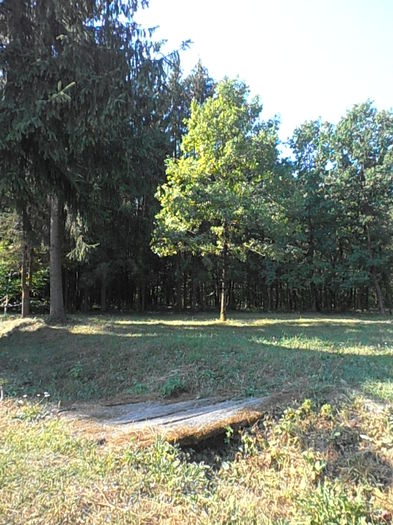 P8281201