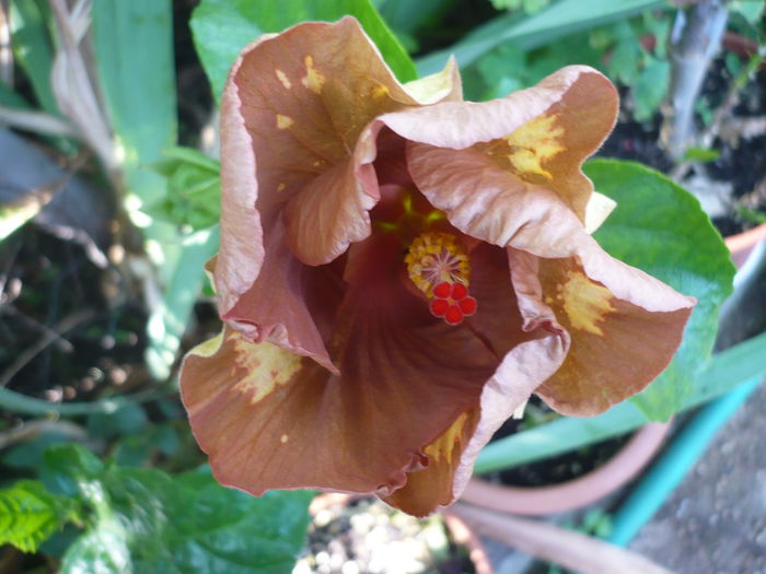 P1230793