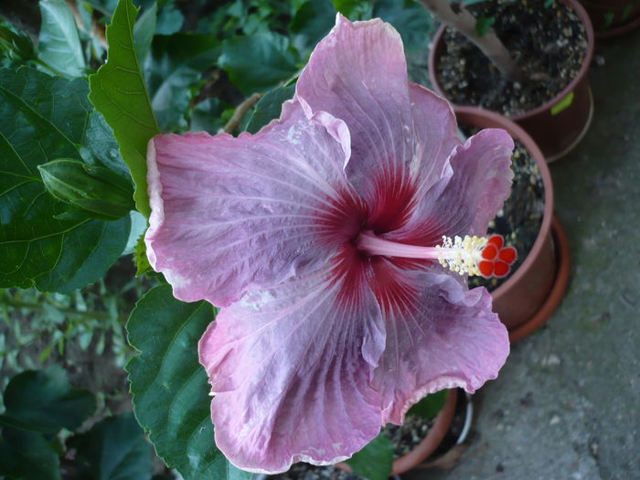 P1230792