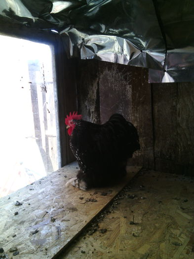 IMG_20150830_163240 - tineret 2015