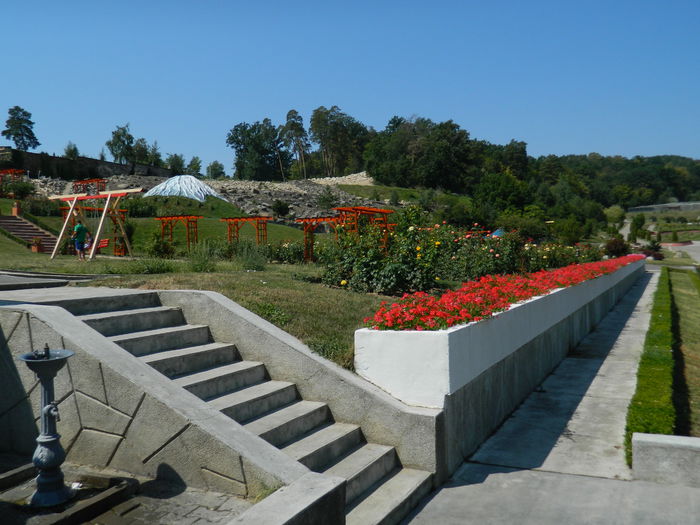 DSCN5836 - 2015_GRADINA BOTANICA JIBOU