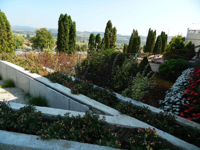 DSCN5839 - 2015_GRADINA BOTANICA JIBOU