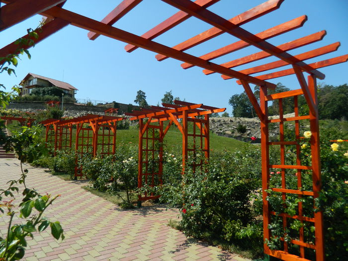 DSCN5843 - 2015_GRADINA BOTANICA JIBOU