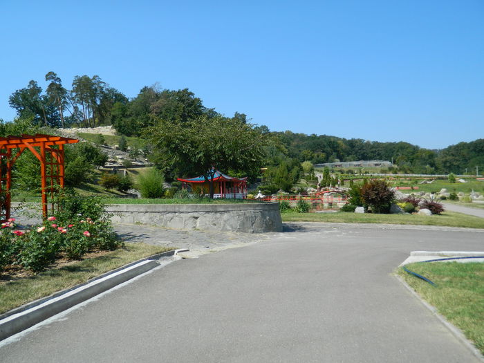 DSCN5845 - 2015_GRADINA BOTANICA JIBOU