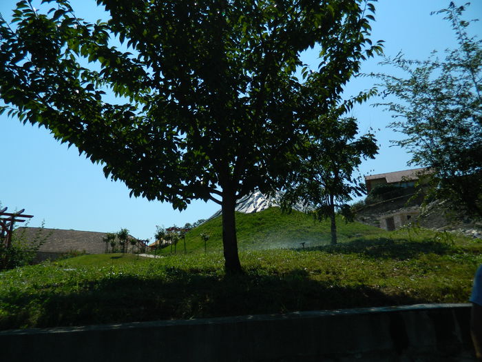 DSCN5850 - 2015_GRADINA BOTANICA JIBOU