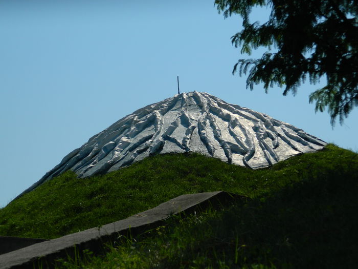 DSCN5853 - 2015_GRADINA BOTANICA JIBOU