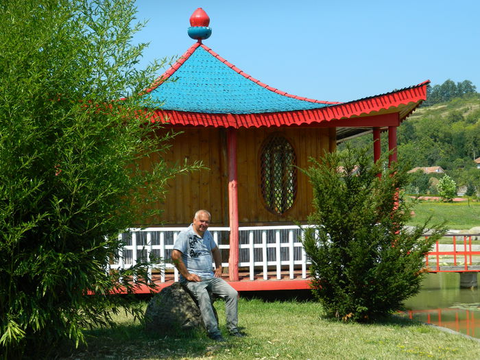 DSCN5854 - 2015_GRADINA BOTANICA JIBOU