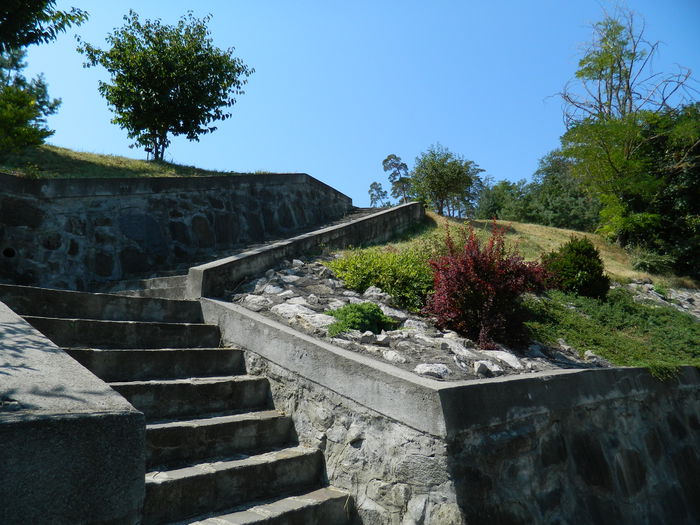 DSCN5856 - 2015_GRADINA BOTANICA JIBOU