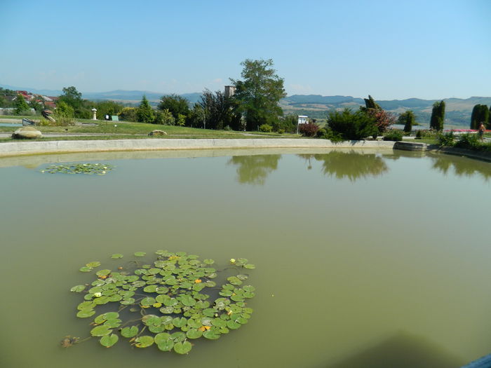DSCN5858 - 2015_GRADINA BOTANICA JIBOU