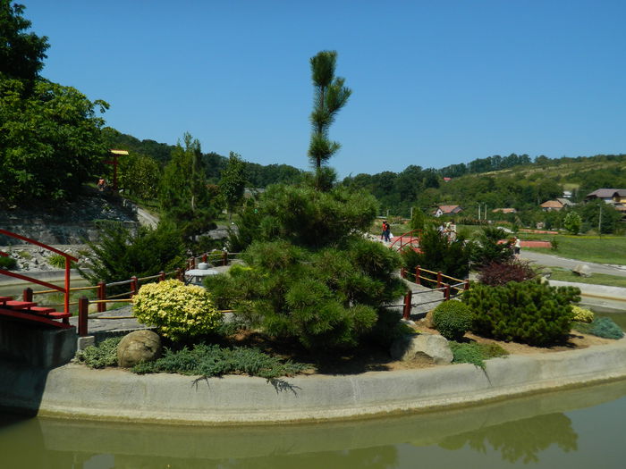 DSCN5869 - 2015_GRADINA BOTANICA JIBOU