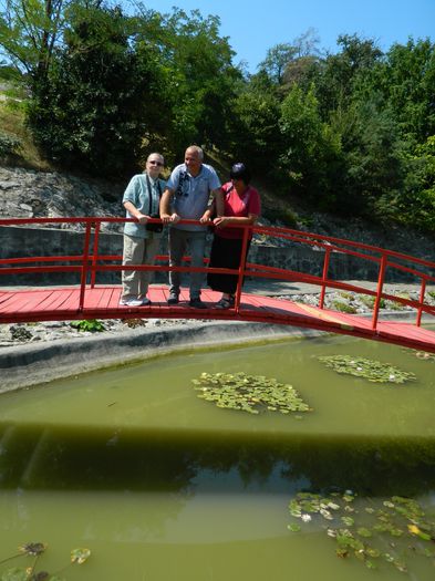 DSCN5876 - 2015_GRADINA BOTANICA JIBOU
