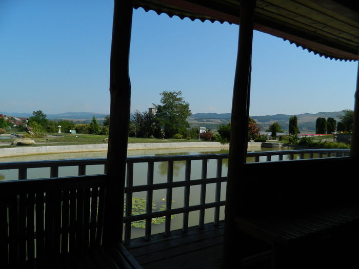 DSCN5880 - 2015_GRADINA BOTANICA JIBOU