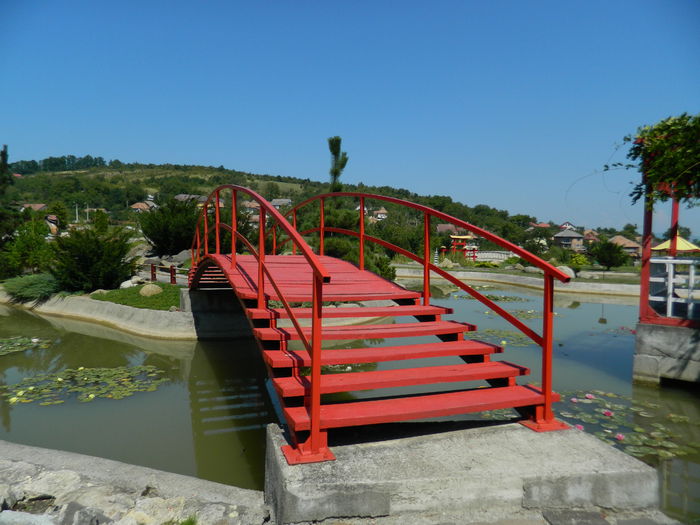 DSCN5882 - 2015_GRADINA BOTANICA JIBOU