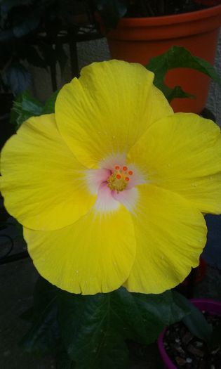 20150830_182336
