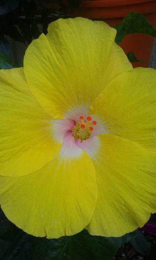 20150830_182339