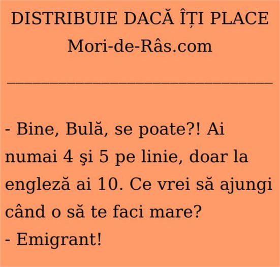 Banc-cu-Bula-Mori-de-Ras