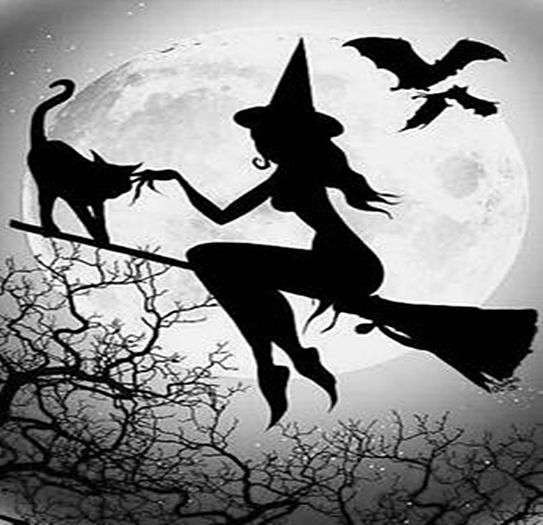  - Wonderland-Pictures Challenge