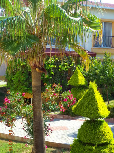 DSC04880 - 2015 TURCIA SOGUCAK DAVUTLAR