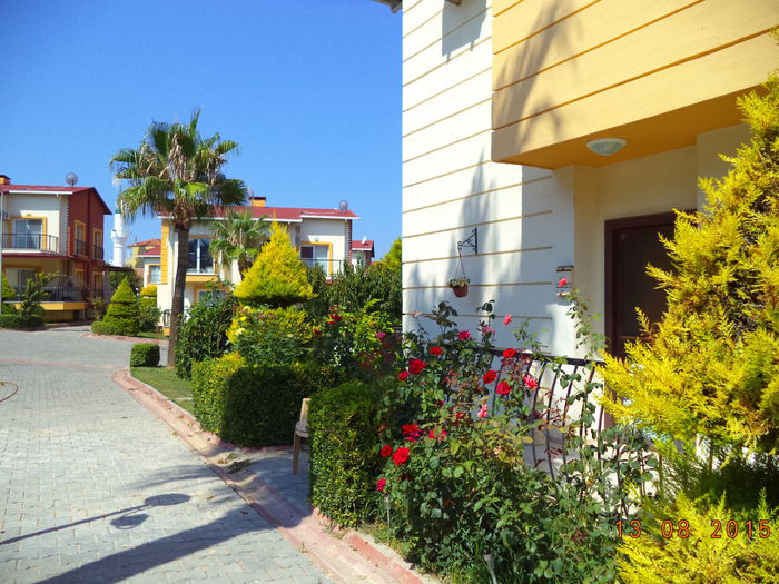 DSC04912 - 2015 TURCIA SOGUCAK DAVUTLAR