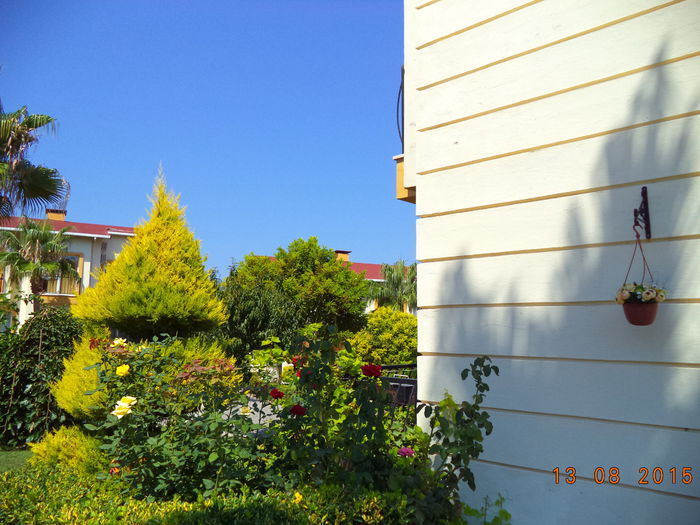 DSC04913 - 2015 TURCIA SOGUCAK DAVUTLAR